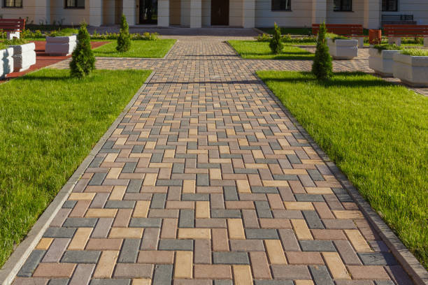 Best Local Driveway Pavers  in Dillon, MT